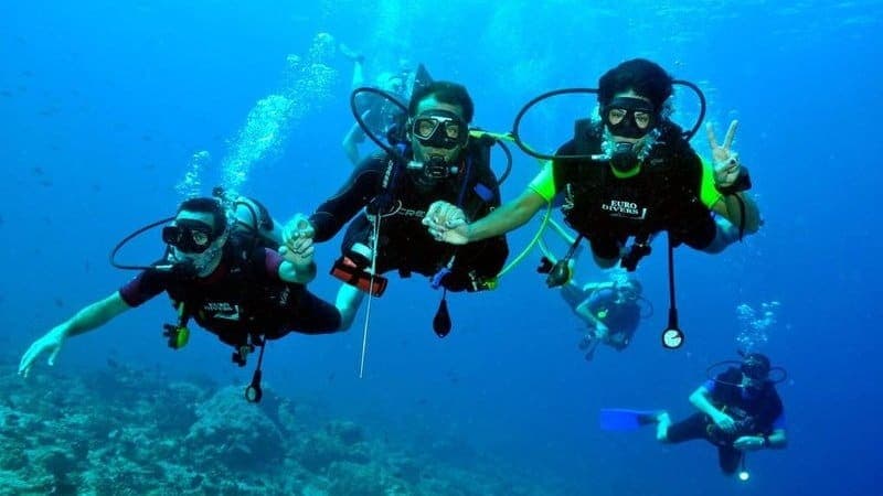 Top Cocos Island liveaboards for Hammerhead and Pelagic Encounters