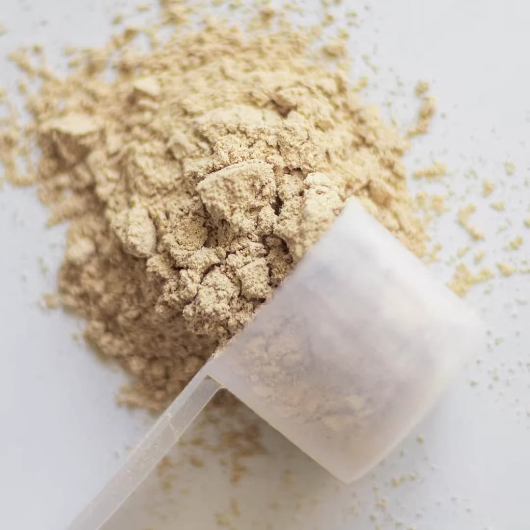 How Goat protein powder UK Supports Gut Health Naturally